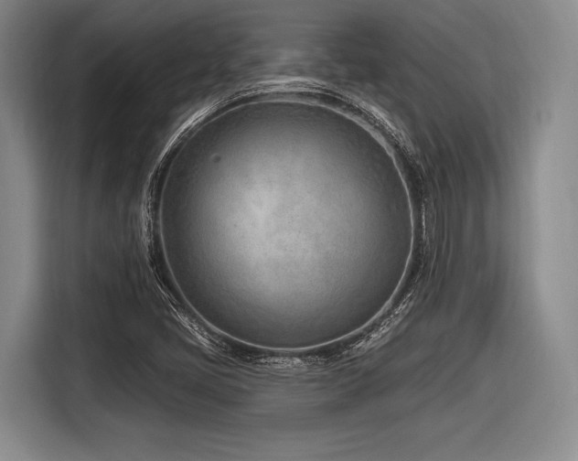 X0000116891405200912221444
