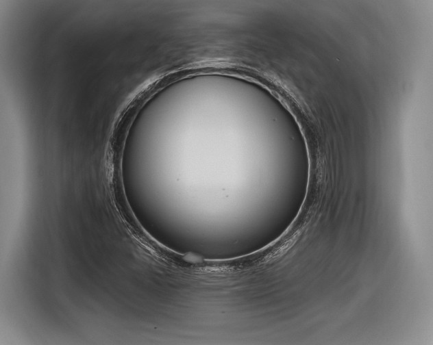 X0000116891406200912221444