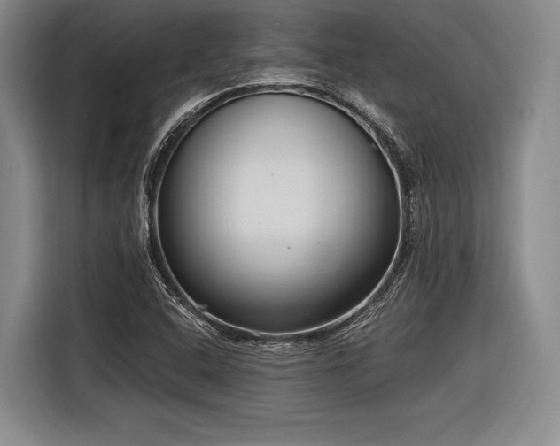 X0000116891408200912221444
