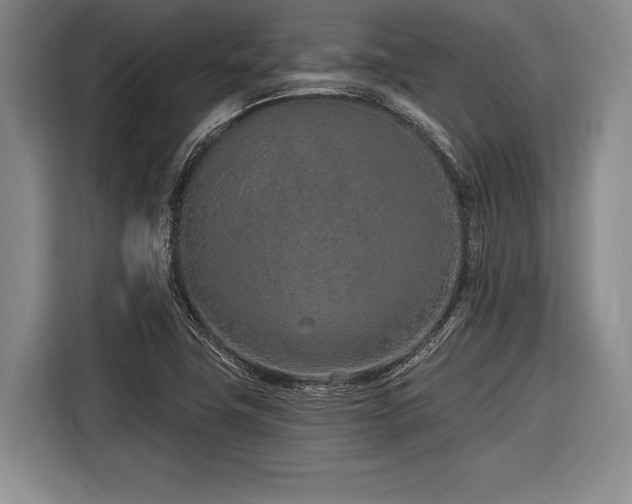 X0000116891411200912221444