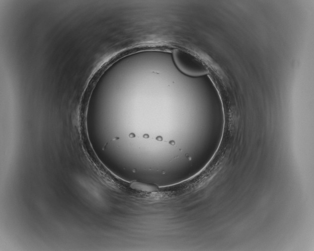 X0000116891412200912221444