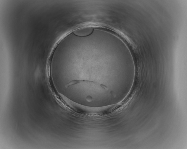 X0000116891413200912221444