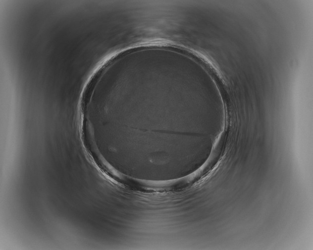 X0000116891414200912221444