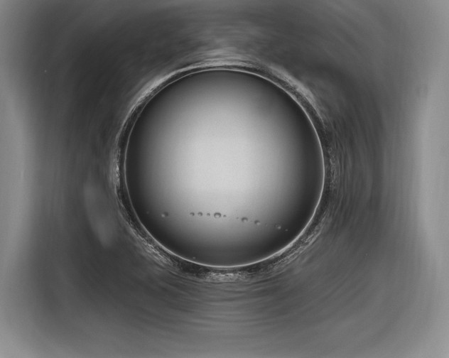 X0000116891415200912221444