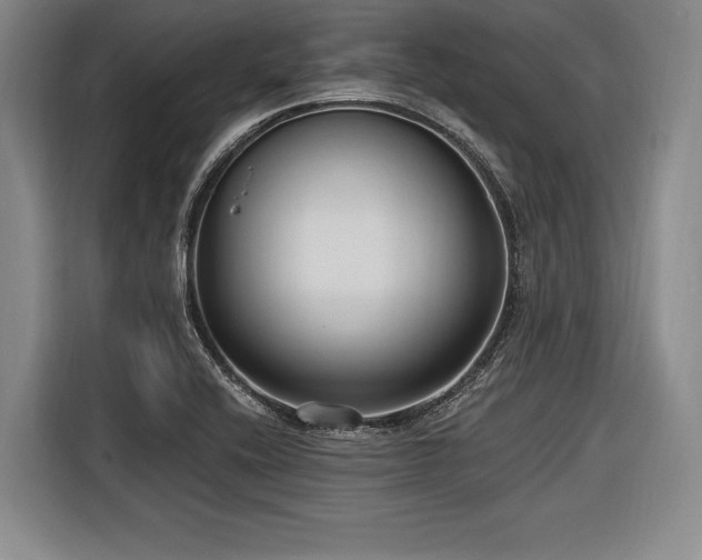 X0000116891416200912221444