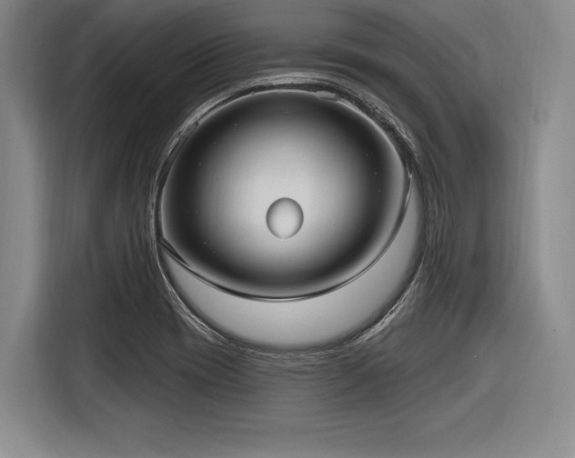 X0000116891417200912221444