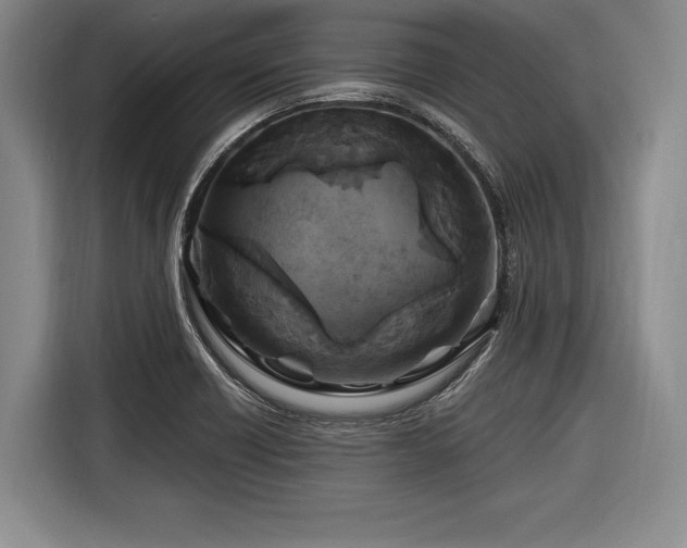 X0000116891418200912221444