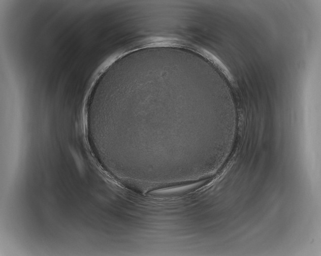 X0000116891419200912221444