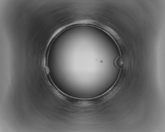 X0000116891420200912221444