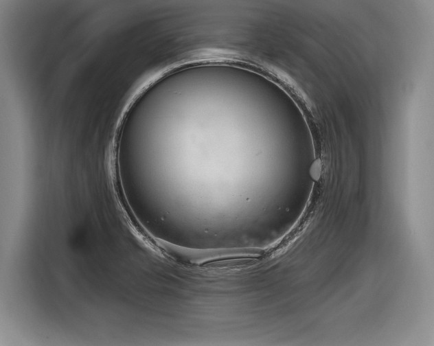 X0000116891421200912221444