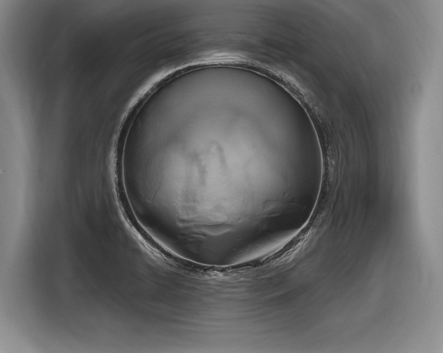 X0000116891422200912221444