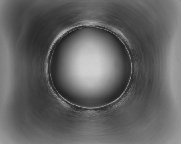 X0000116891424200912221444