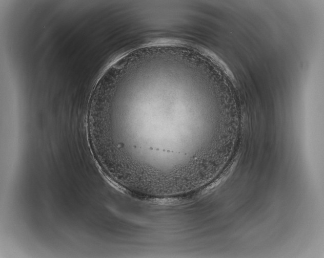 X0000116891425200912221444