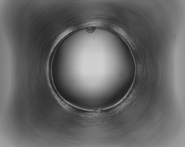 X0000116891426200912221444