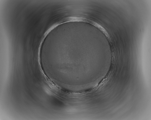 X0000116891427200912221444