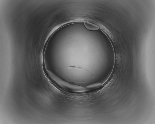 X0000116891428200912221444