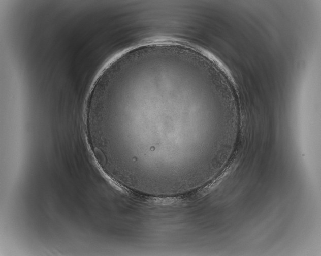 X0000116891429200912221444