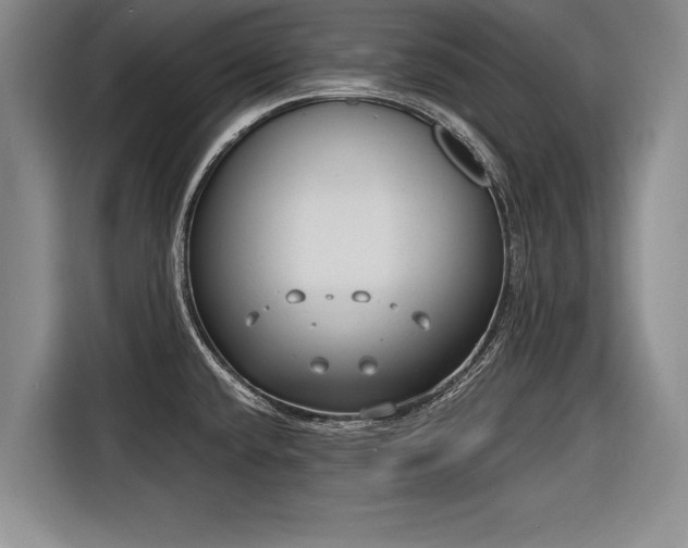 X0000116891432200912221444