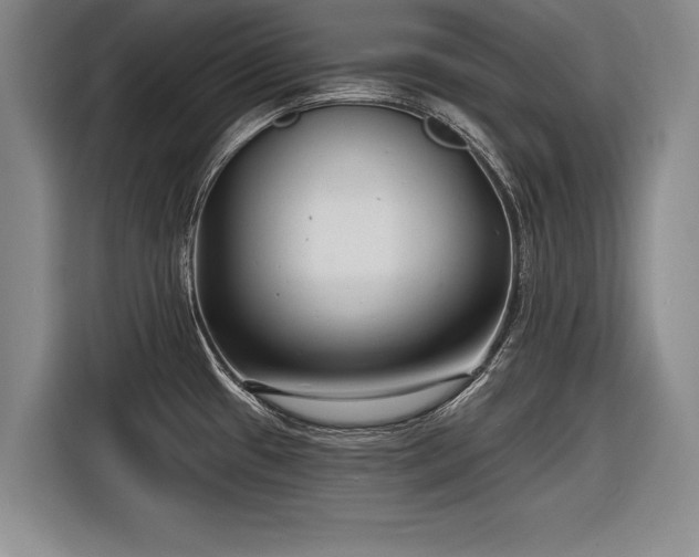 X0000116891433200912221444