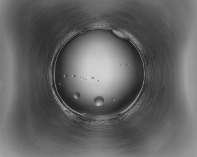 X0000116891434200912221444