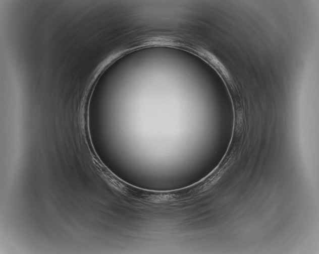 X0000116891435200912221444