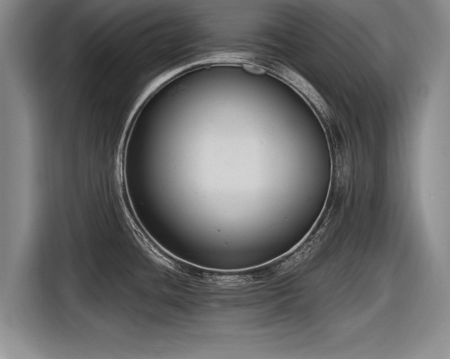 X0000116891436200912221444