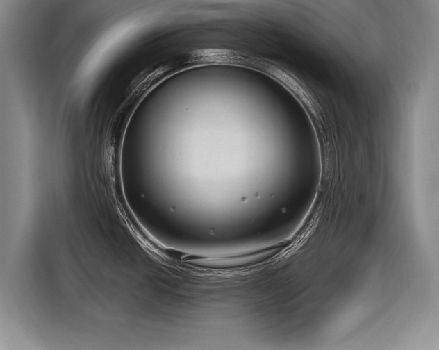 X0000116891438200912221445