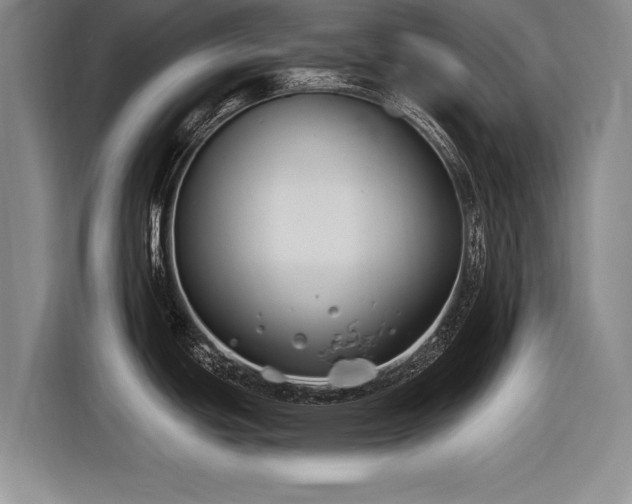 X0000116891439200912221445