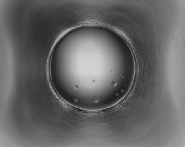 X0000116891440200912221445