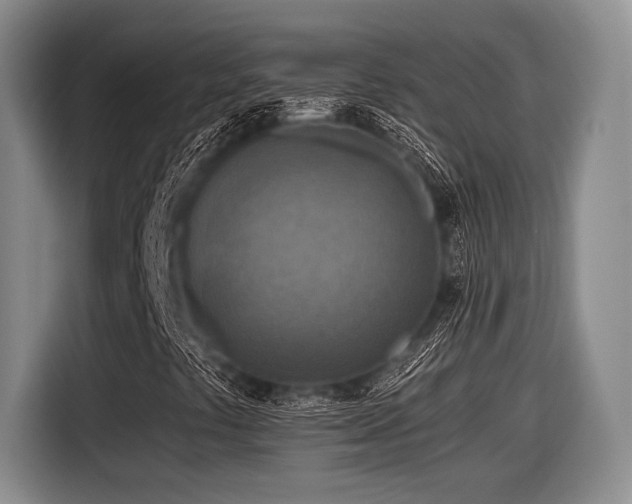 X0000116891441200912221444