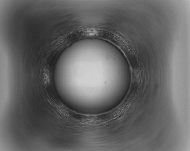 X0000116891442200912221444