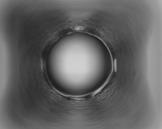 X0000116891443200912221444