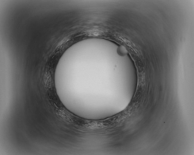 X0000116891446200912221444