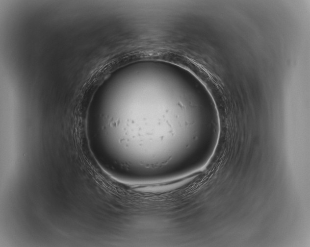 X0000116891447200912221444