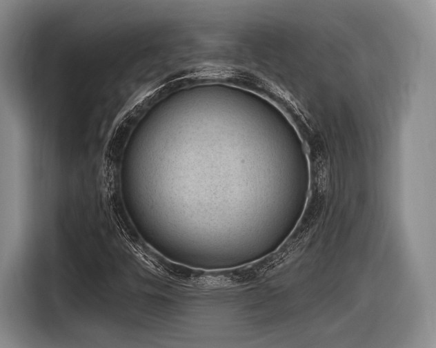 X0000116891448200912221444