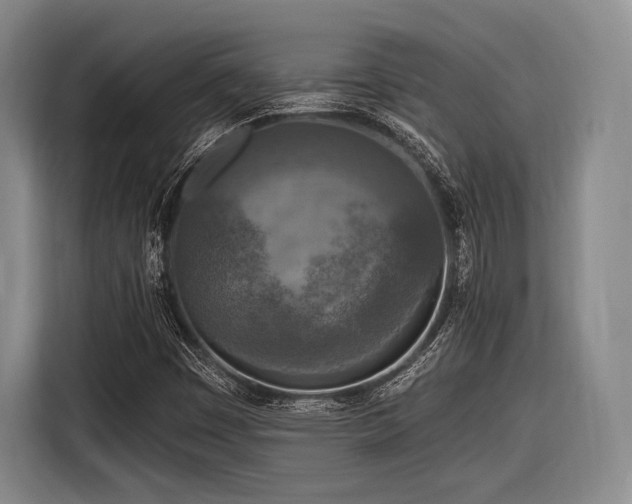X0000116891449200912221444