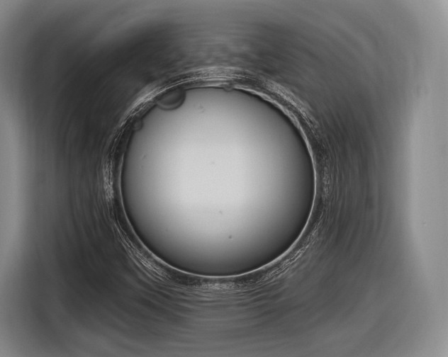 X0000116891451200912221444