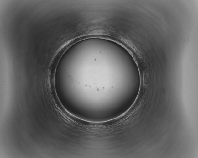 X0000116891452200912221444