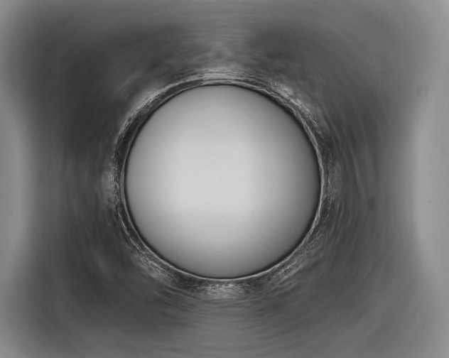 X0000116891454200912221444