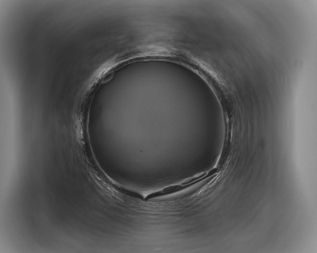 X0000116891455200912221444