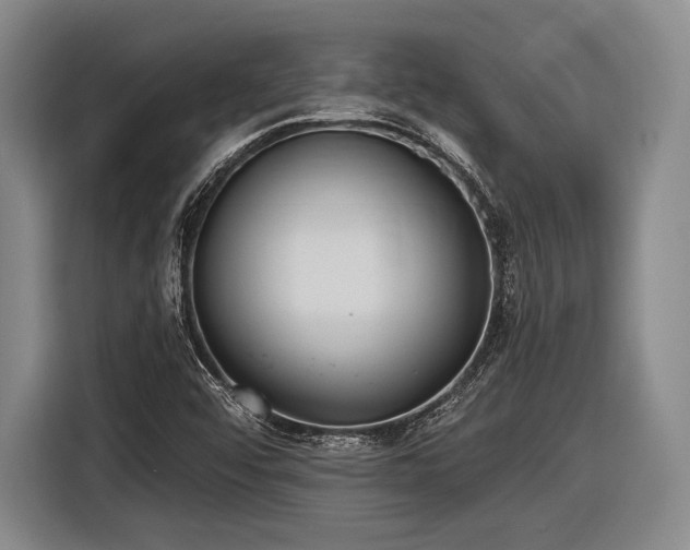 X0000116891456200912221444