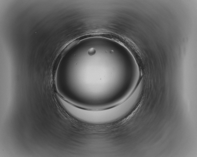 X0000116891457200912221444