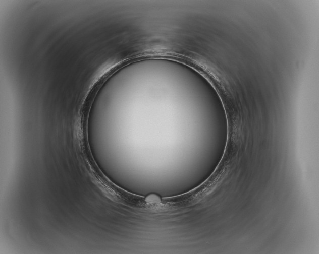 X0000116891458200912221444