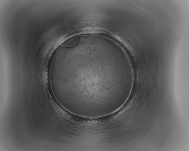 X0000116891459200912221444