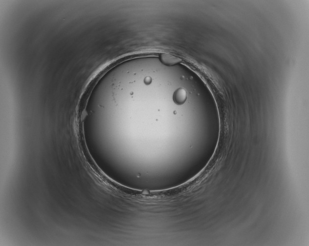X0000116891460200912221444