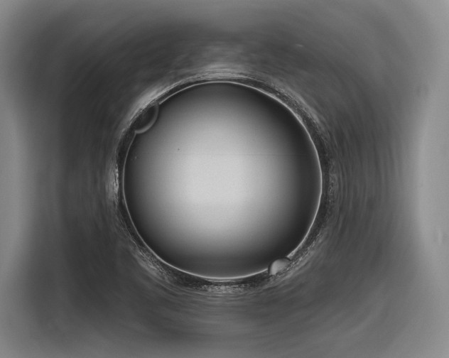 X0000116891461200912221444