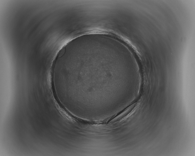 X0000116891463200912221444