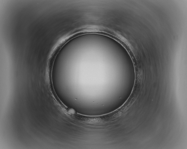 X0000116891464200912221444