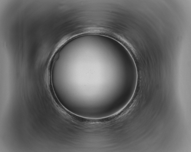X0000116891467200912221444