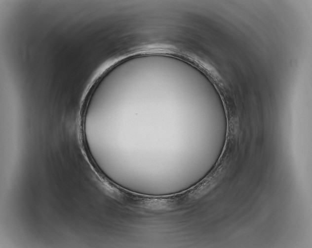 X0000116891470200912221444